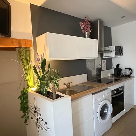 Apartment Goeland 1,climatise, Wifi Et Sa Terrasse A 150 M De La