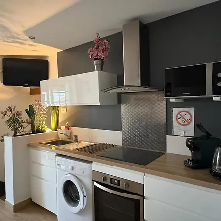 Appartamento Goeland 1,climatise, Wifi Et Sa Terrasse A 150 M De La