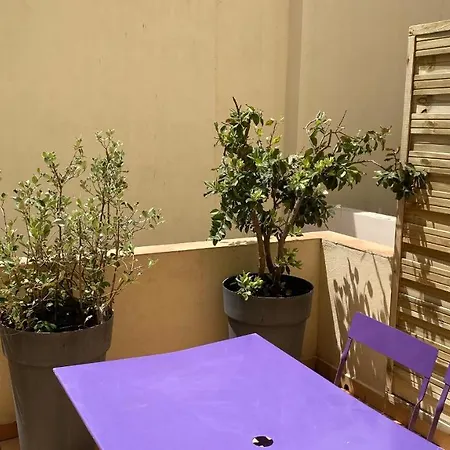 Appartamento Goeland 1, Classé, Climatisé, Wifi Terrasse Ombragé De 12 M2 à 150 M De La